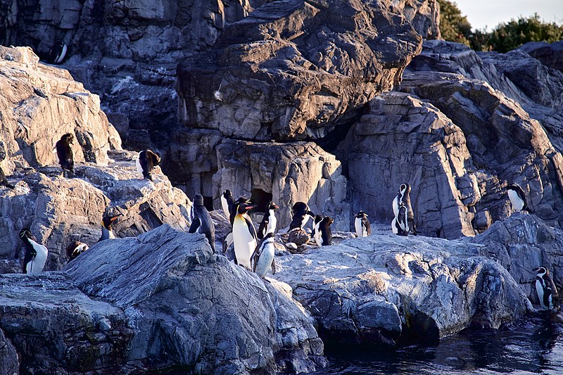 Tokyo Sea Life Park