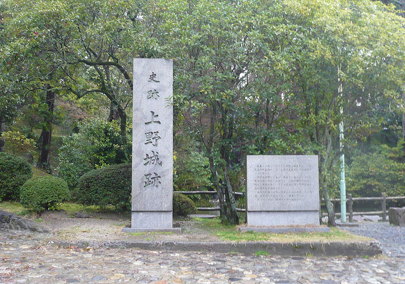 Castillo Iga Ueno