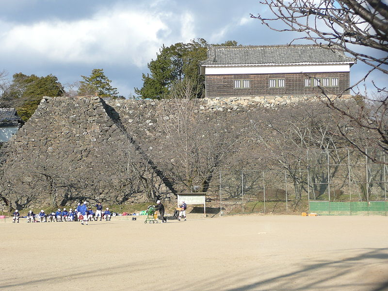Burg Kameyama