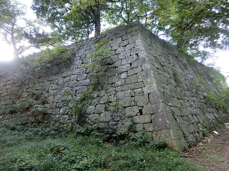 Murakami Castle