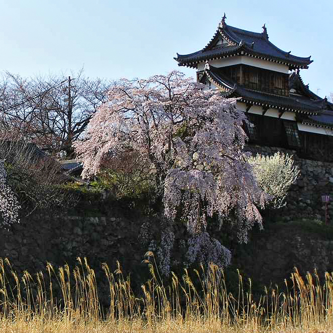 Kōriyama Castle