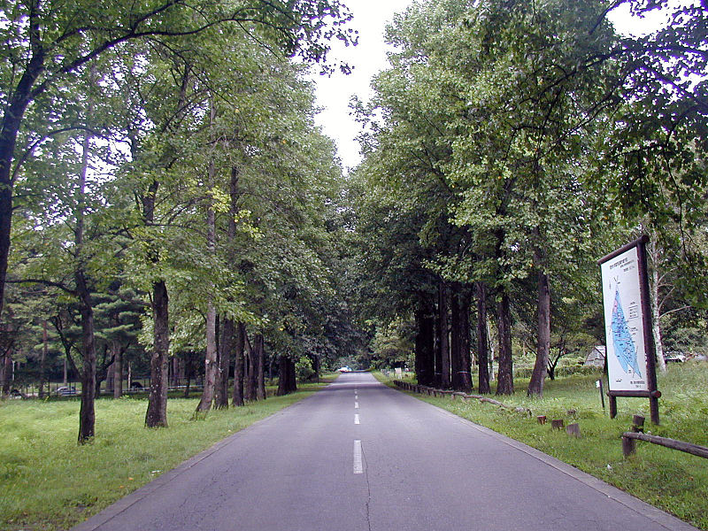 Shinshu University