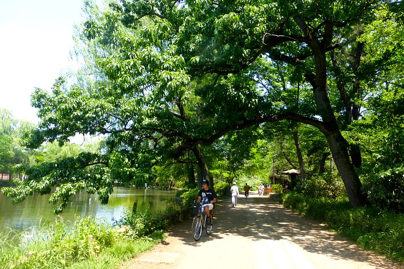 Parc de Shakujii