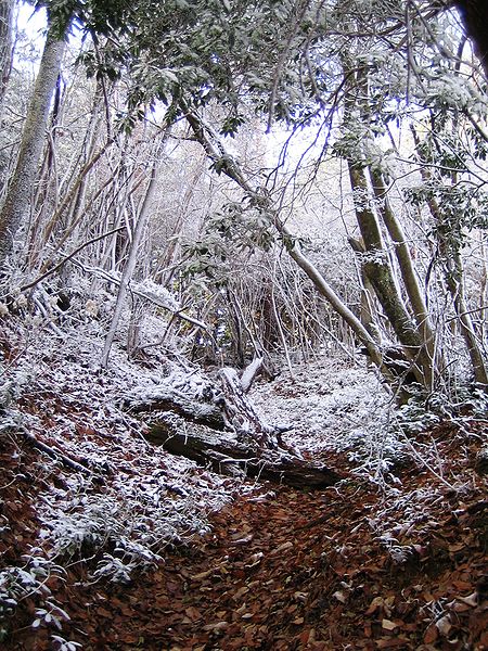 Mont Yajūrō