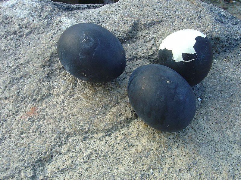 Ōwakudani, Hakone