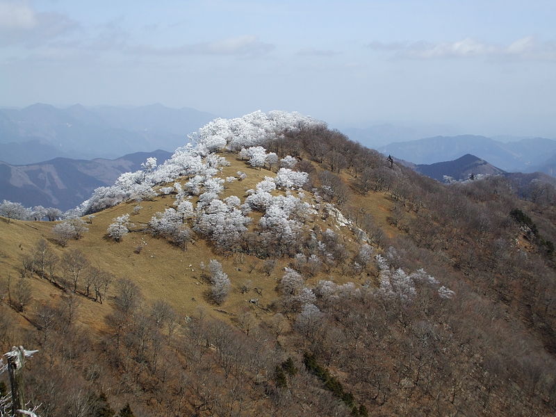 Mount Hinokizuka Okumine