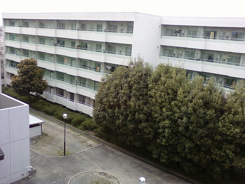 Université de Saitama
