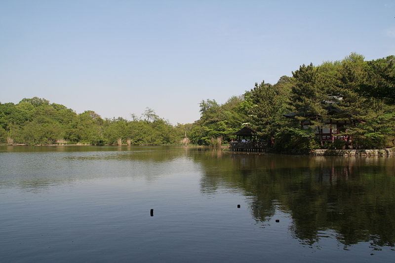 Shakujii Park