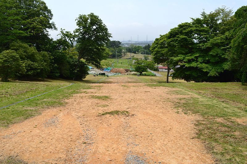 Site de Tagajō