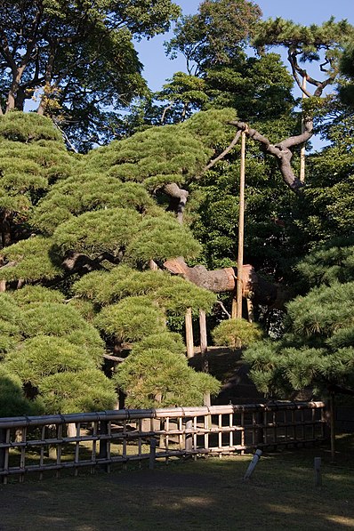 Jardin Hama-rikyū
