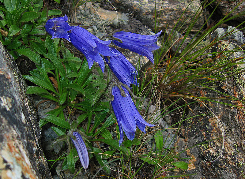 Mount Hōken