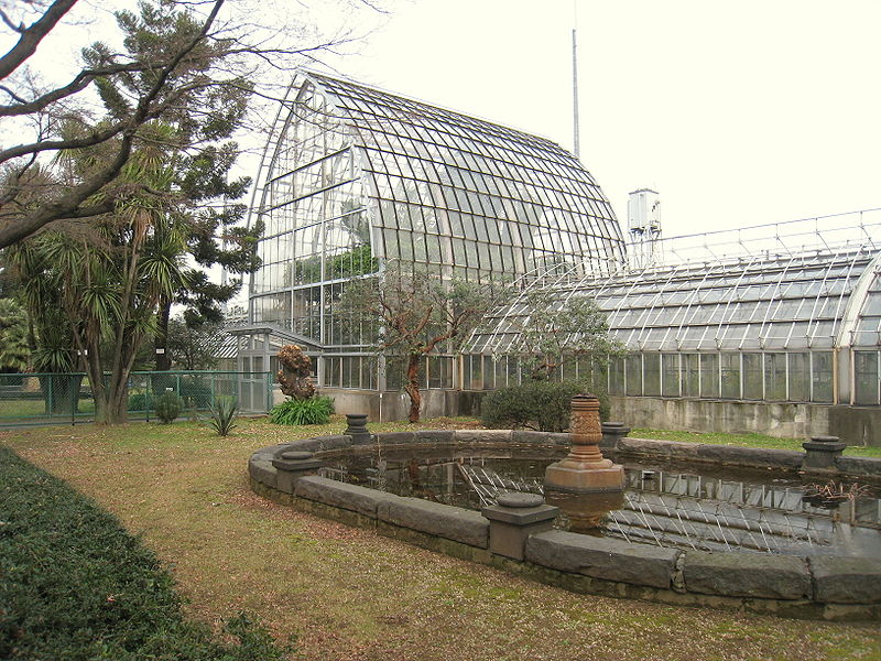 Ogród Botaniczny Koishikawa