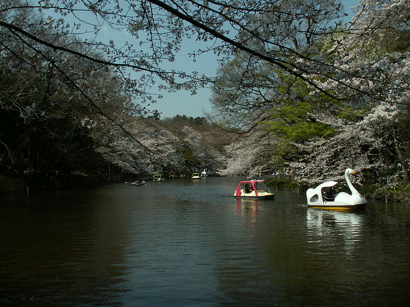 Parque Inokashira, Tokio
