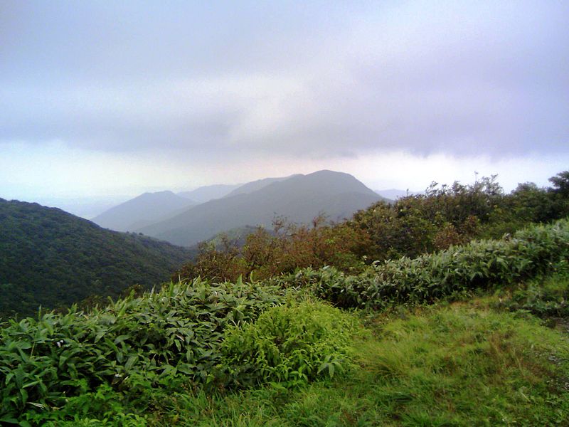 Mount Nagi