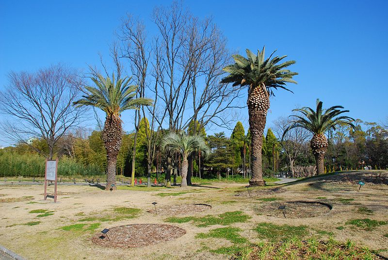 Parc Nagai