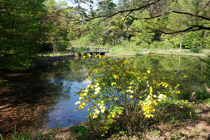 Nationalpark für Naturstudien