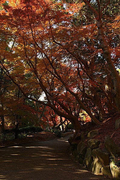 Parque Suma Rikyū de la Ciudad de Kōbe
