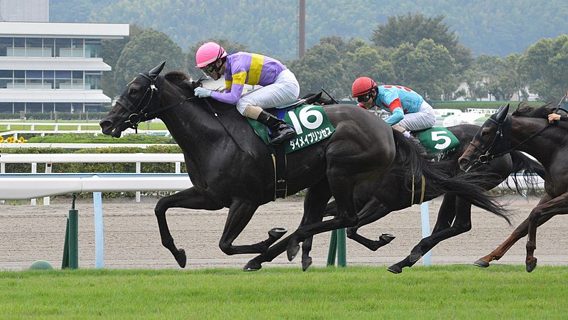 Kokura Racecourse