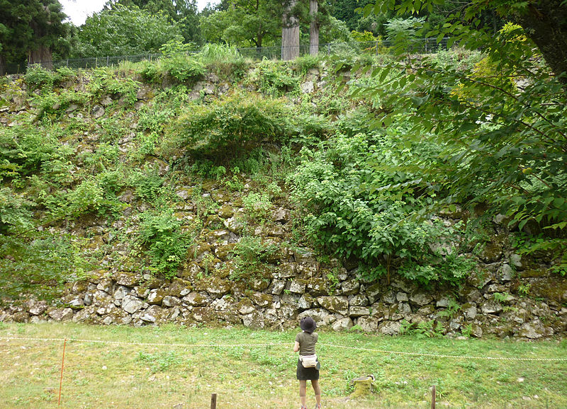 Château de Takeda