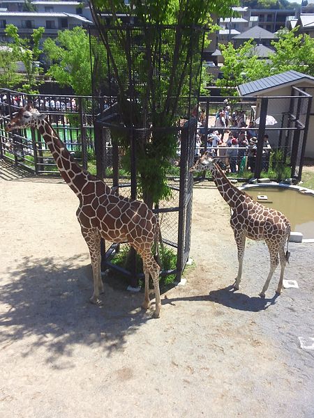 Zoológico municipal de Kioto