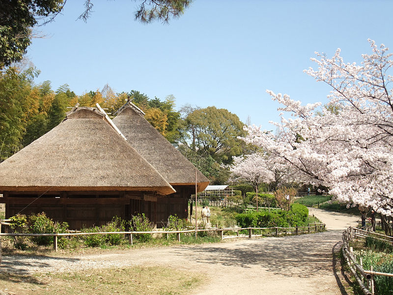 Parque de Hattori Ryokuchi