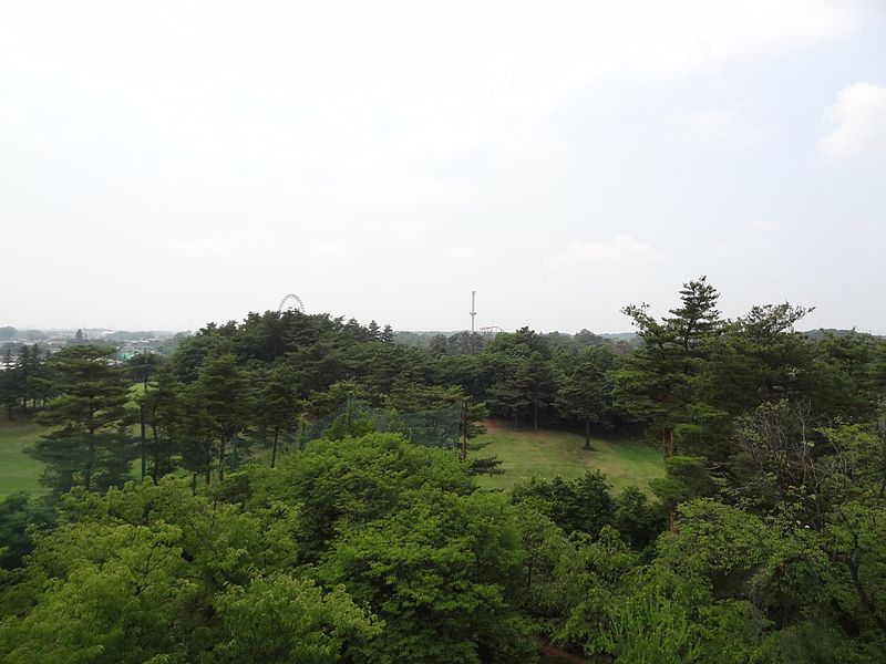 Arahata Fuji Shrine