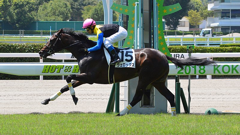 Kokura Racecourse