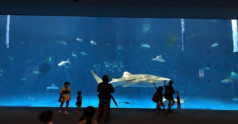 Kagoshima Aquarium