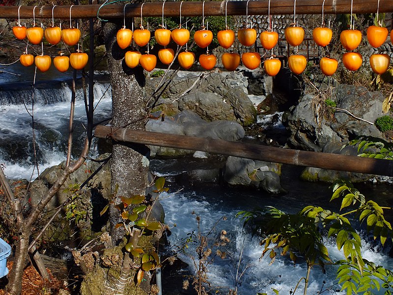 Chutes d'eau de Shiraito