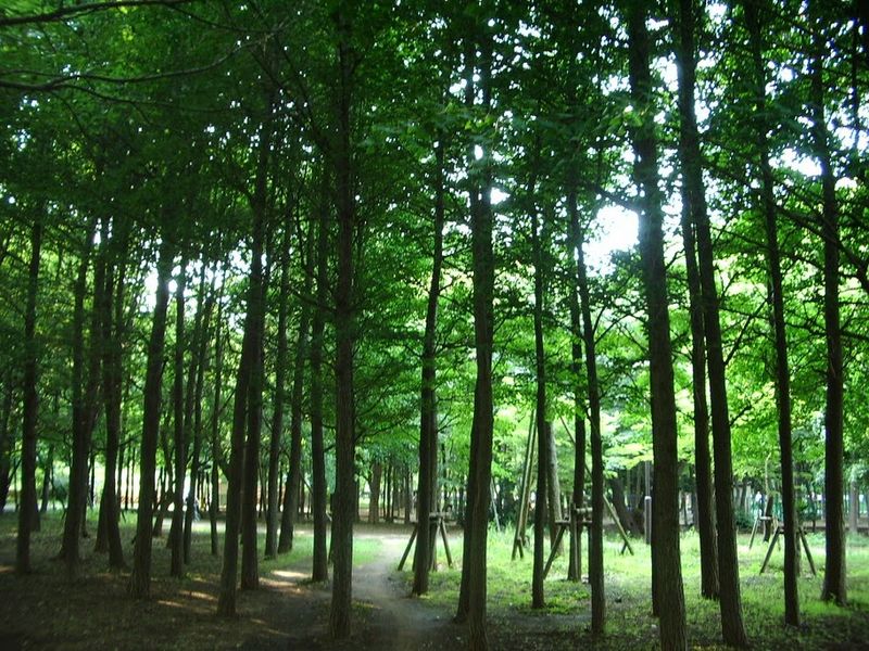 Jōhoku-Chūō Park