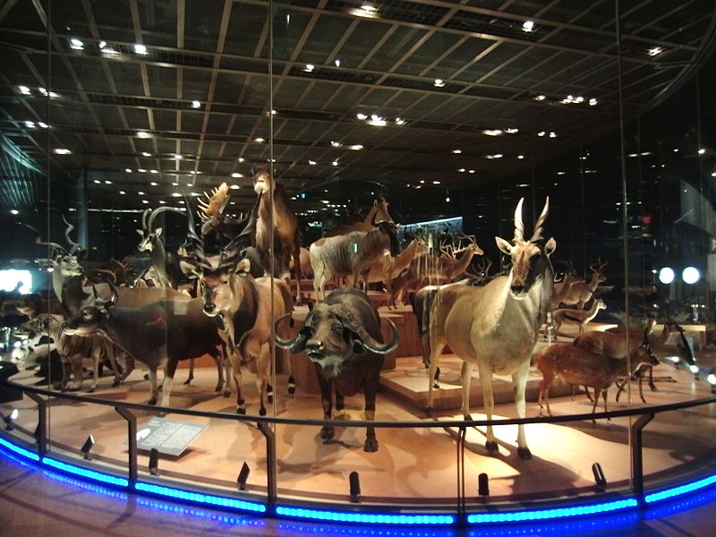 Musée national de la nature et des sciences de Tokyo