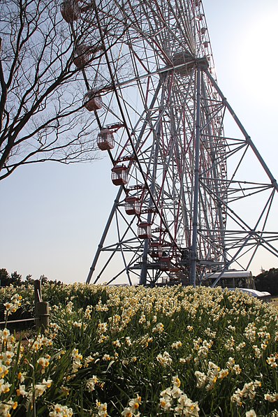 Diamond and Flower Ferris Wheel