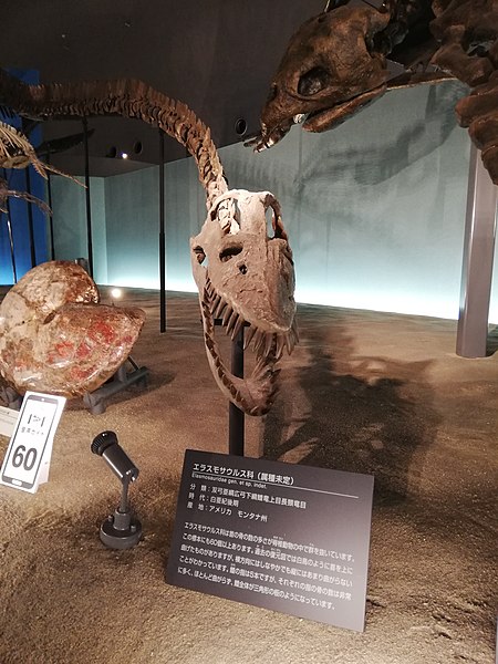 Musée préfectoral des dinosaures de Fukui