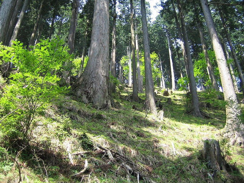 Tanzawa Mountains