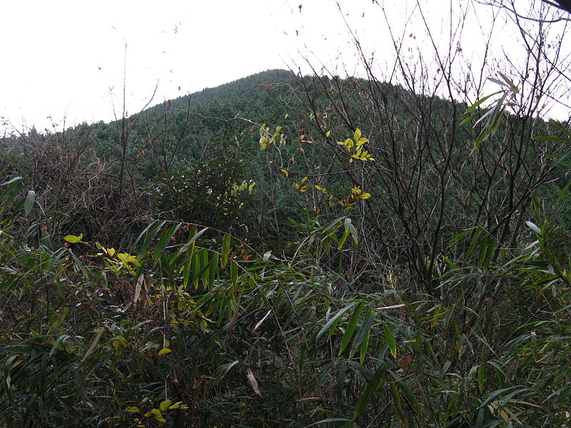 Kongō Range