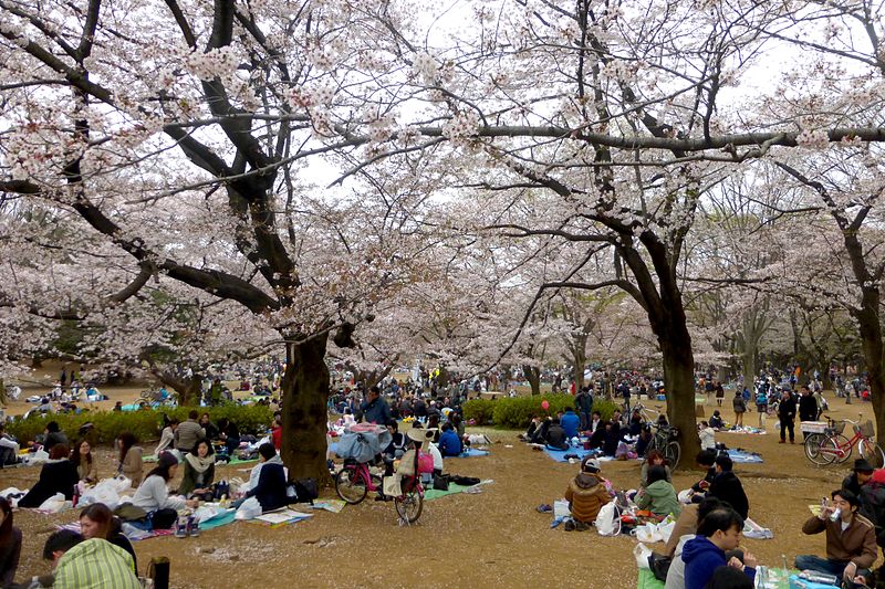 Hikarigaoka Park