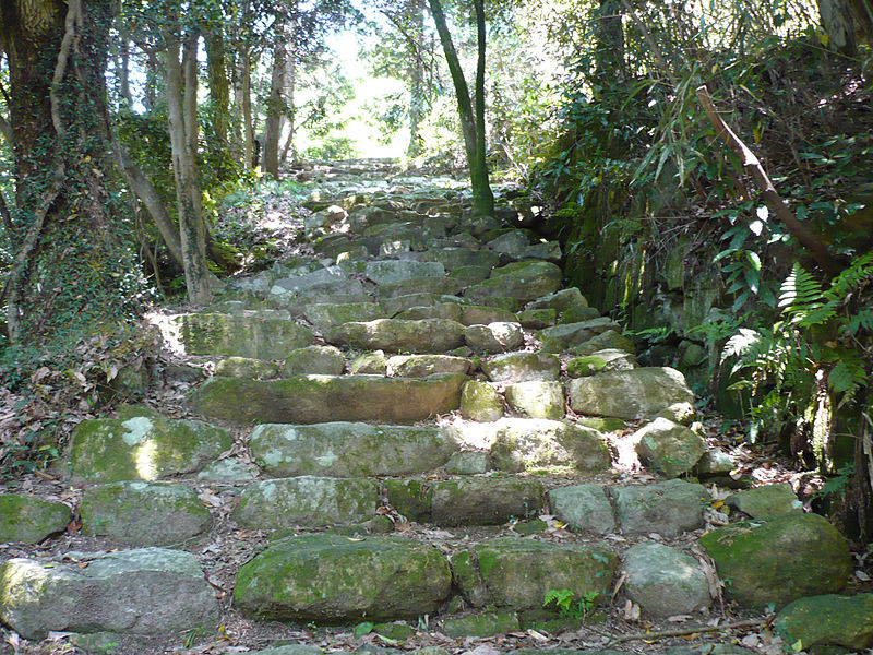 Kannonji Castle