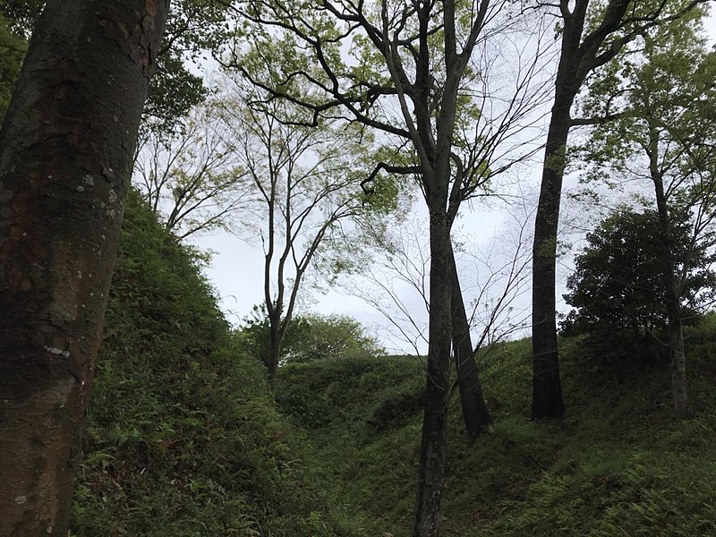 Kōkokuji Castle