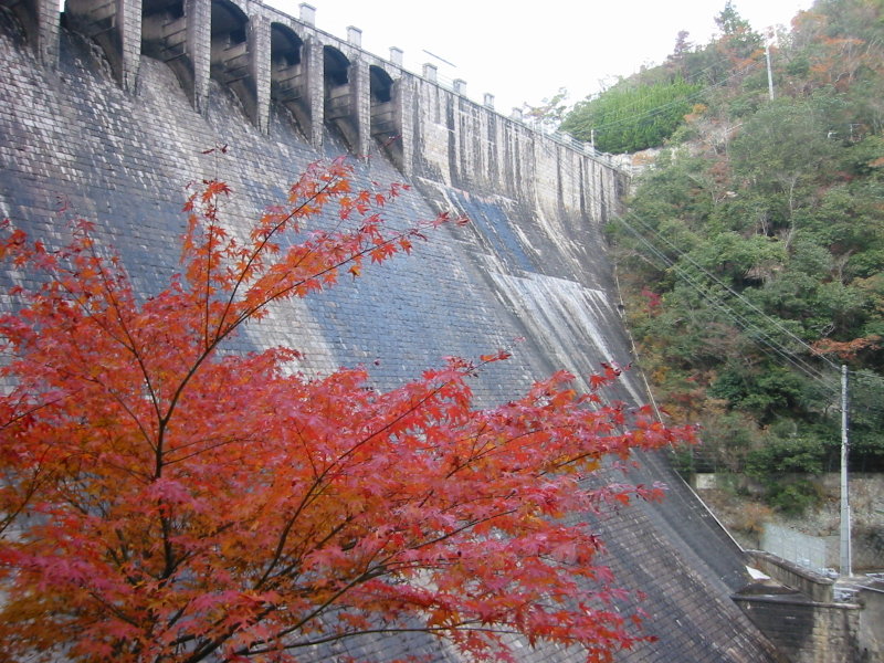 Sengari Dam