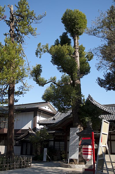 Ōkunitama Shrine