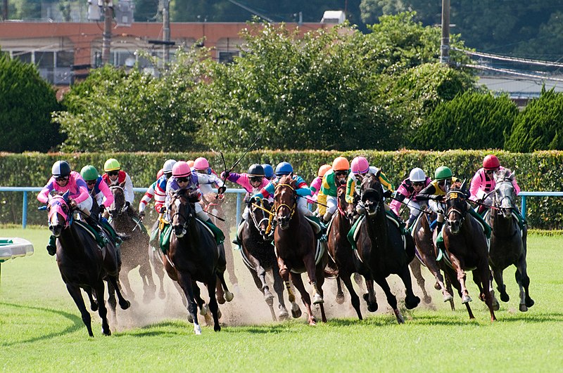 Kokura Racecourse