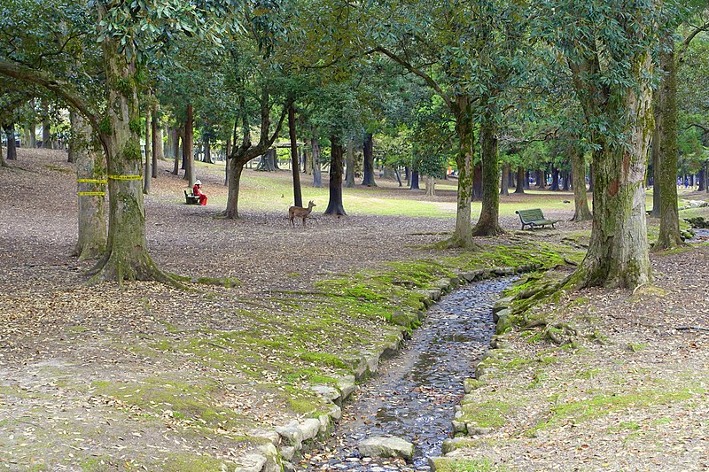 Nara-Park