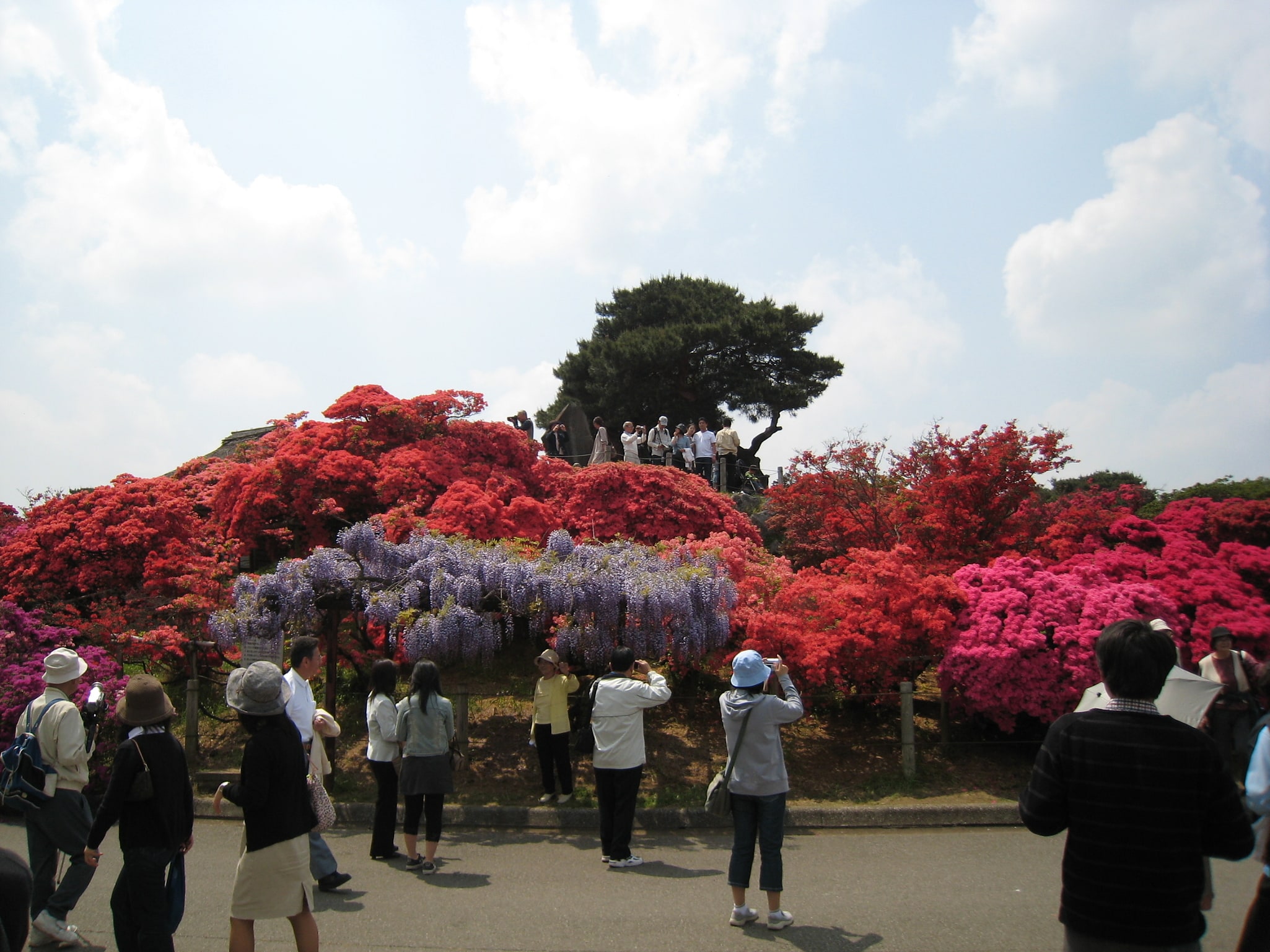 Tatebayashi, Japonia