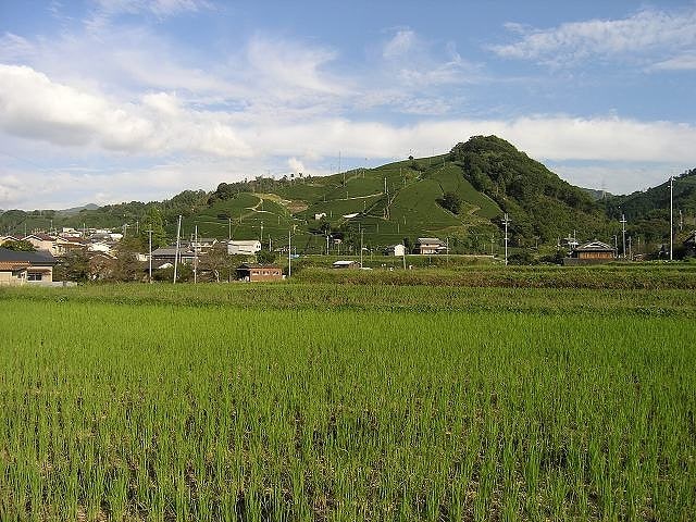 Wazuka, Japón