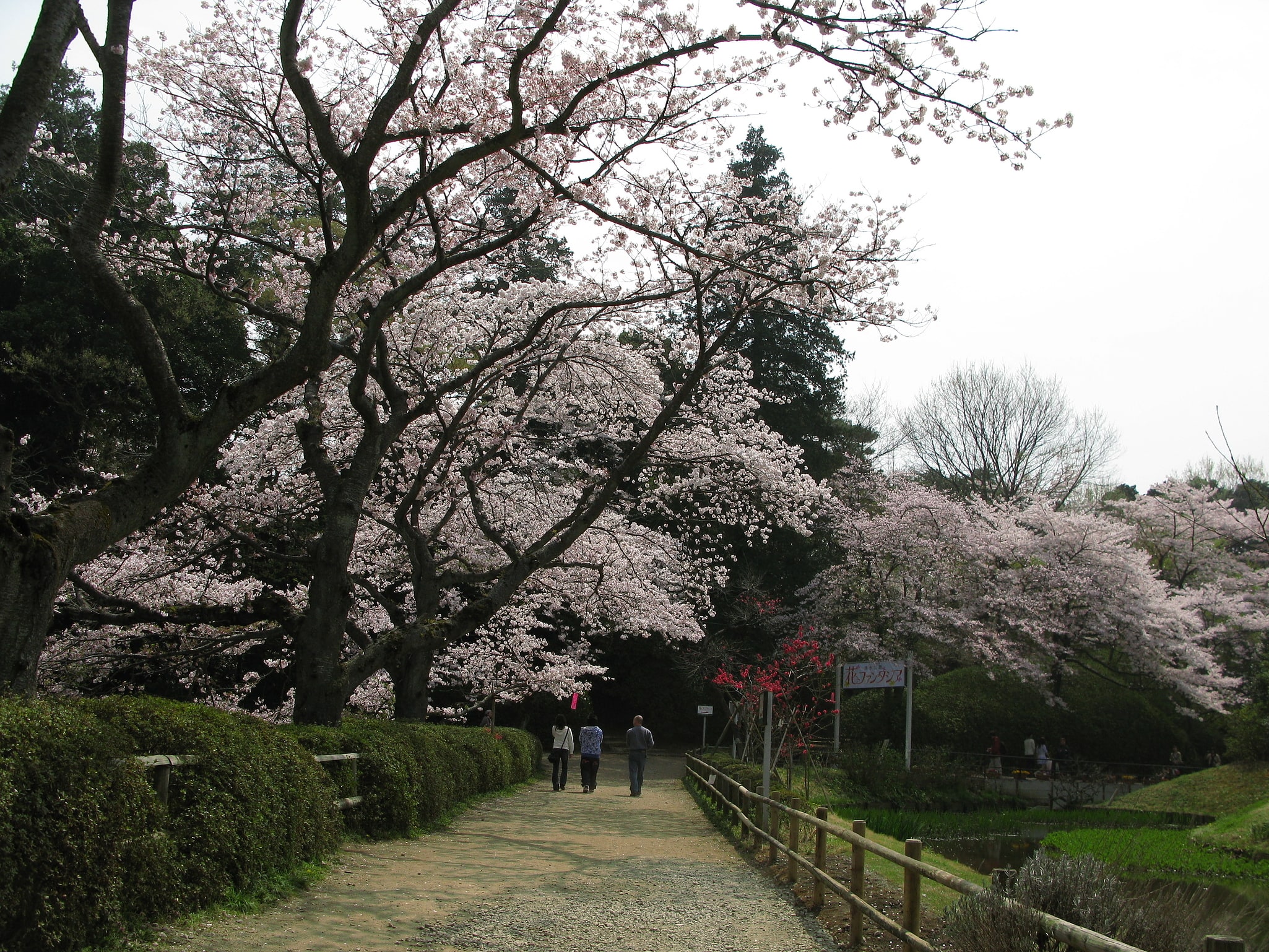 Noda, Japon