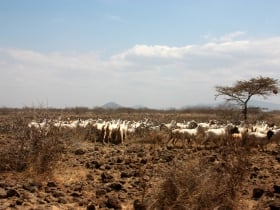 isiolo
