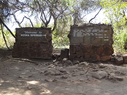 mzima springs parque nacional de tsavo west