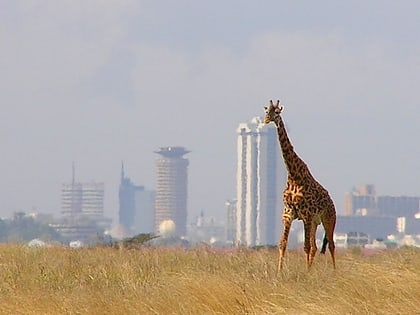 parque nacional de nairobi