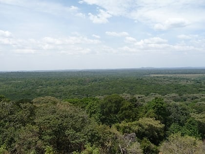 Bosque de Kakamega