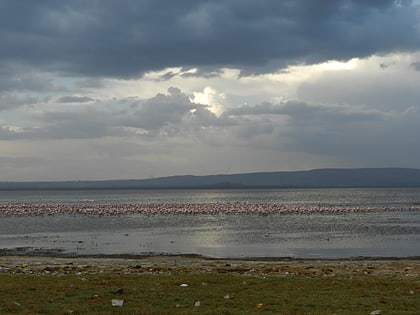 Jezioro Nakuru